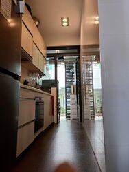 Tropics @ Haigsville (D15), Apartment #454358851